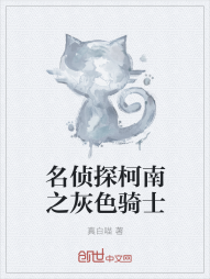 名侦探柯南之灰色骑士