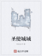 圣使城域